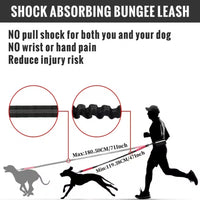 Ps Durable Hands-Free Bungee Leash
