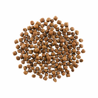 Go! Solution Skin + Coat Care Chicken Recipe with Grains Cat Dry Food