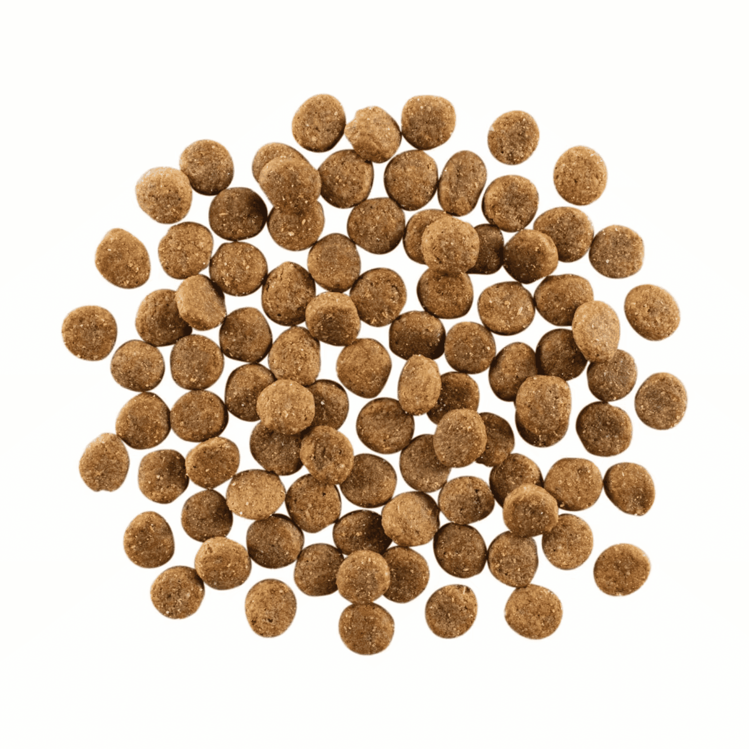 Go! Solution Skin+Coat Care Chicken Recipe with Grains Dog Dry Food