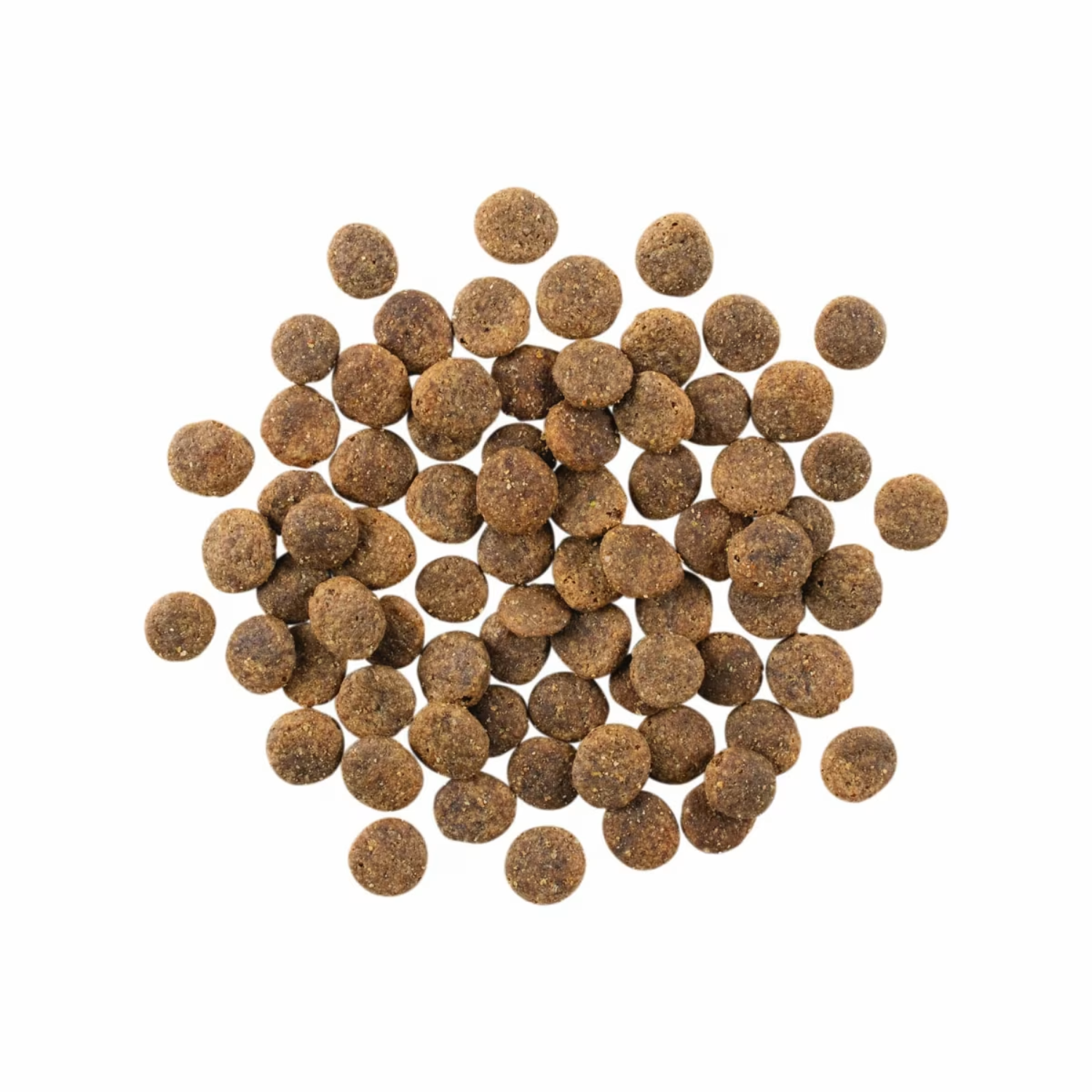 Go! Solution Sensitivities Grain Free Lamb Recipe Dog Dry Food