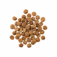 Go! Solution Sensitivities Grain Free Venison Recipe Dog Dry Food