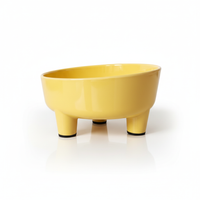 Ps Dz Tilted Elevated Bowl