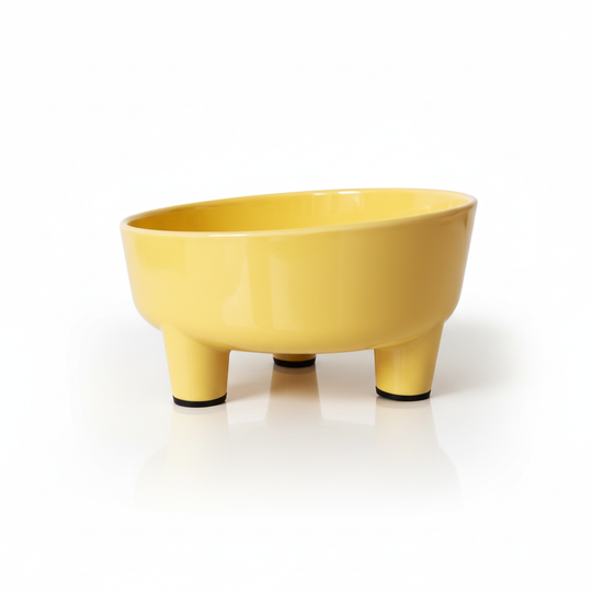 Ps Dz Tilted Elevated Bowl