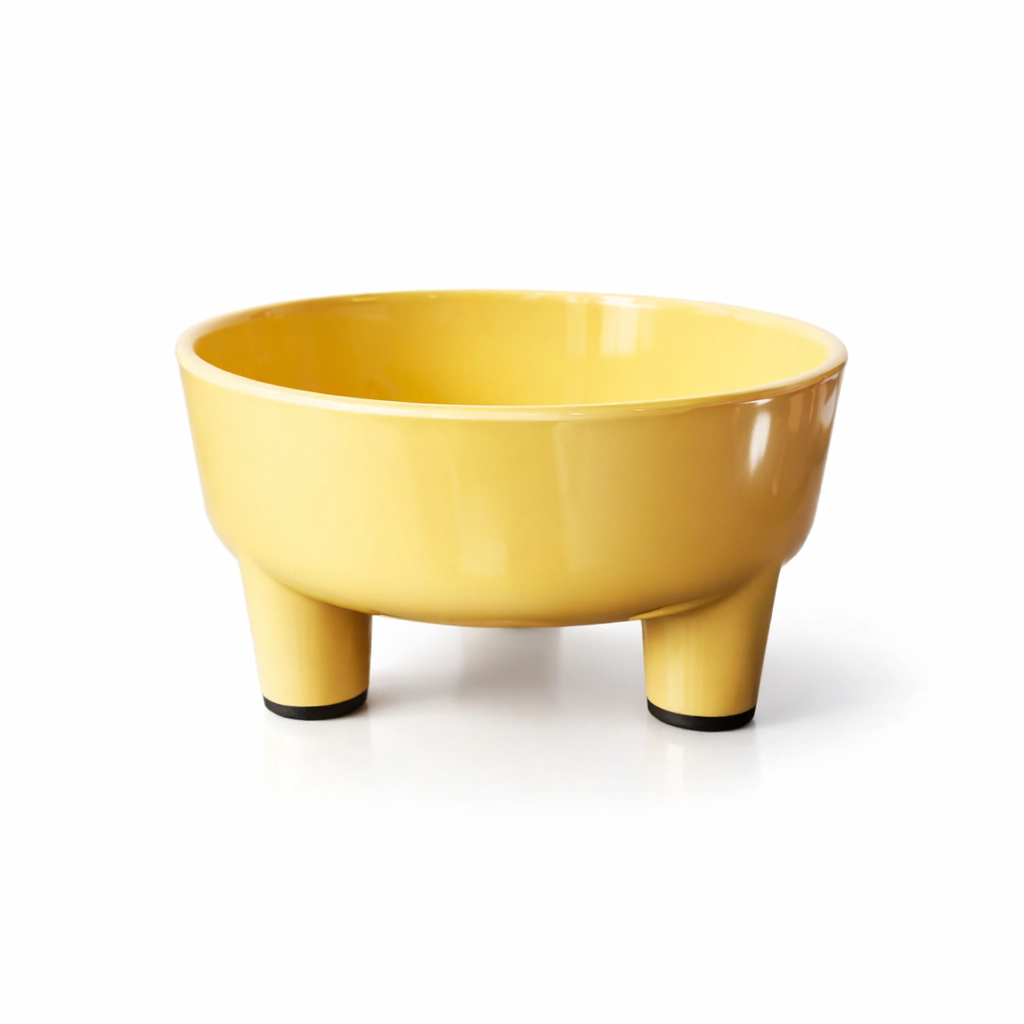 Ps Dz Tilted Elevated Bowl