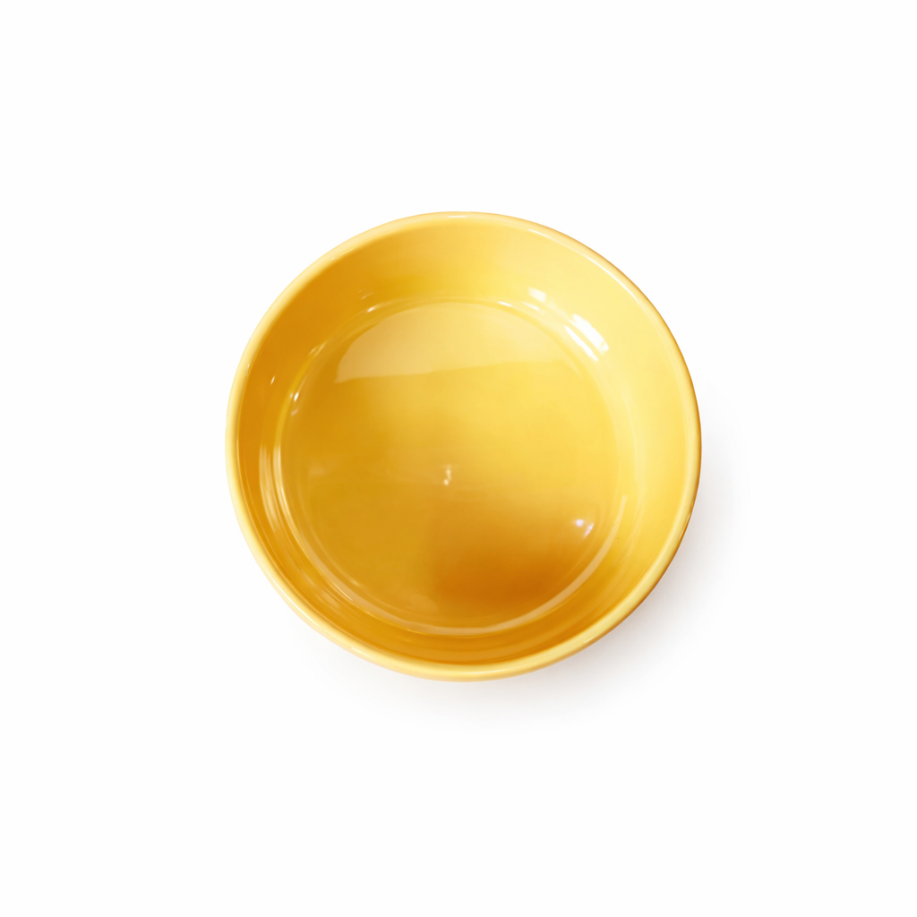 Ps Dz Tilted Elevated Bowl