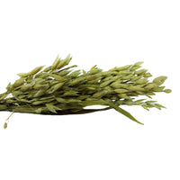 Tropical Carnival® Natural Oat Spray For Small Animals