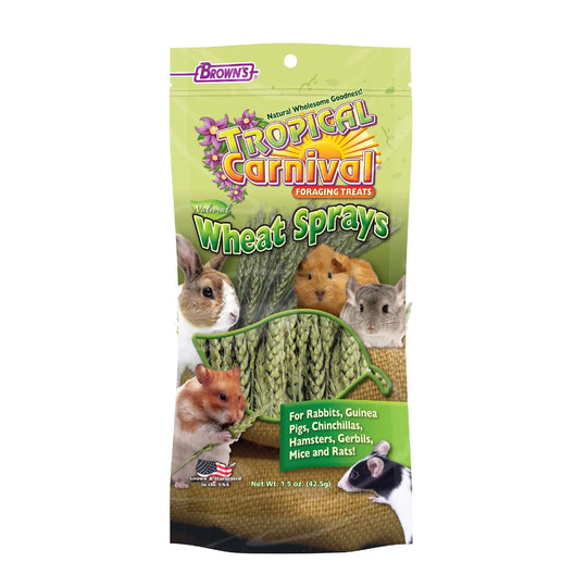 Tropical Carnival® Natural Wheat Sprays