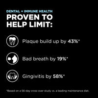 Go! Solution Dental + Immune Health Chicken & Salmon Cat Dry Food