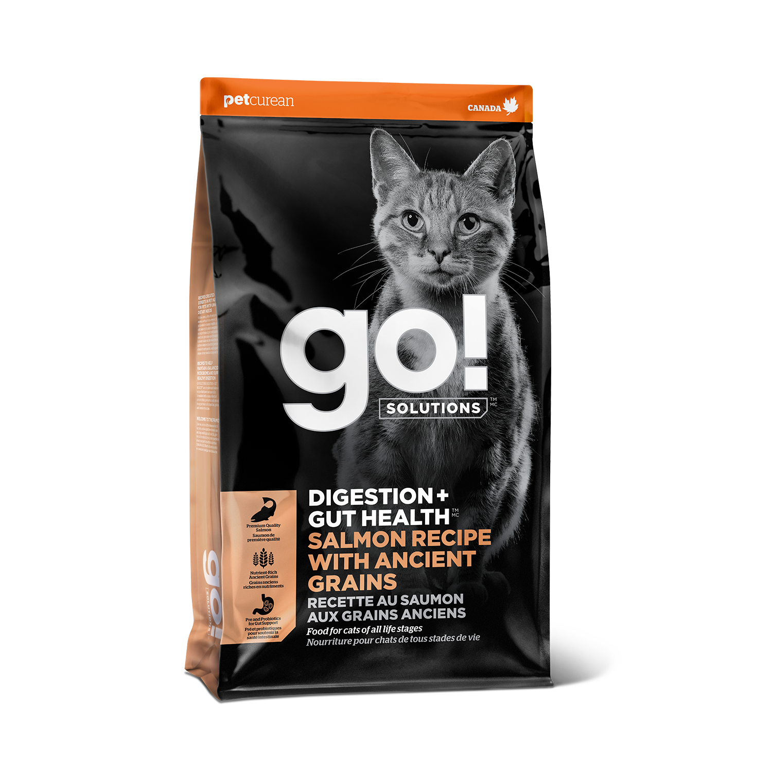 Go! Solution Digestion + Gut Health Salmon Recipe with Ancient Grains Cat Dry Food