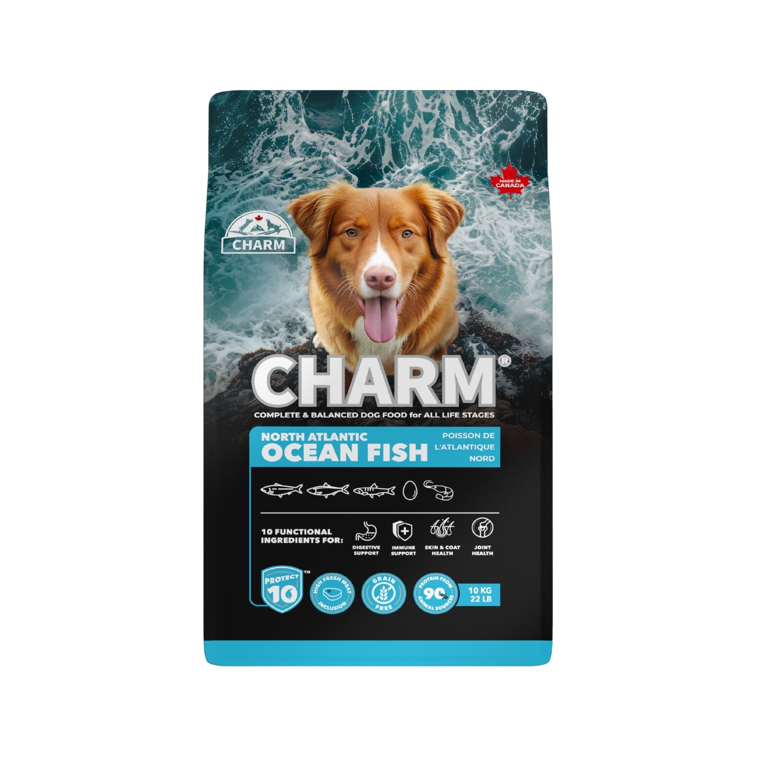 Charm North Atlantic Ocean Fish Dry Dog Food
