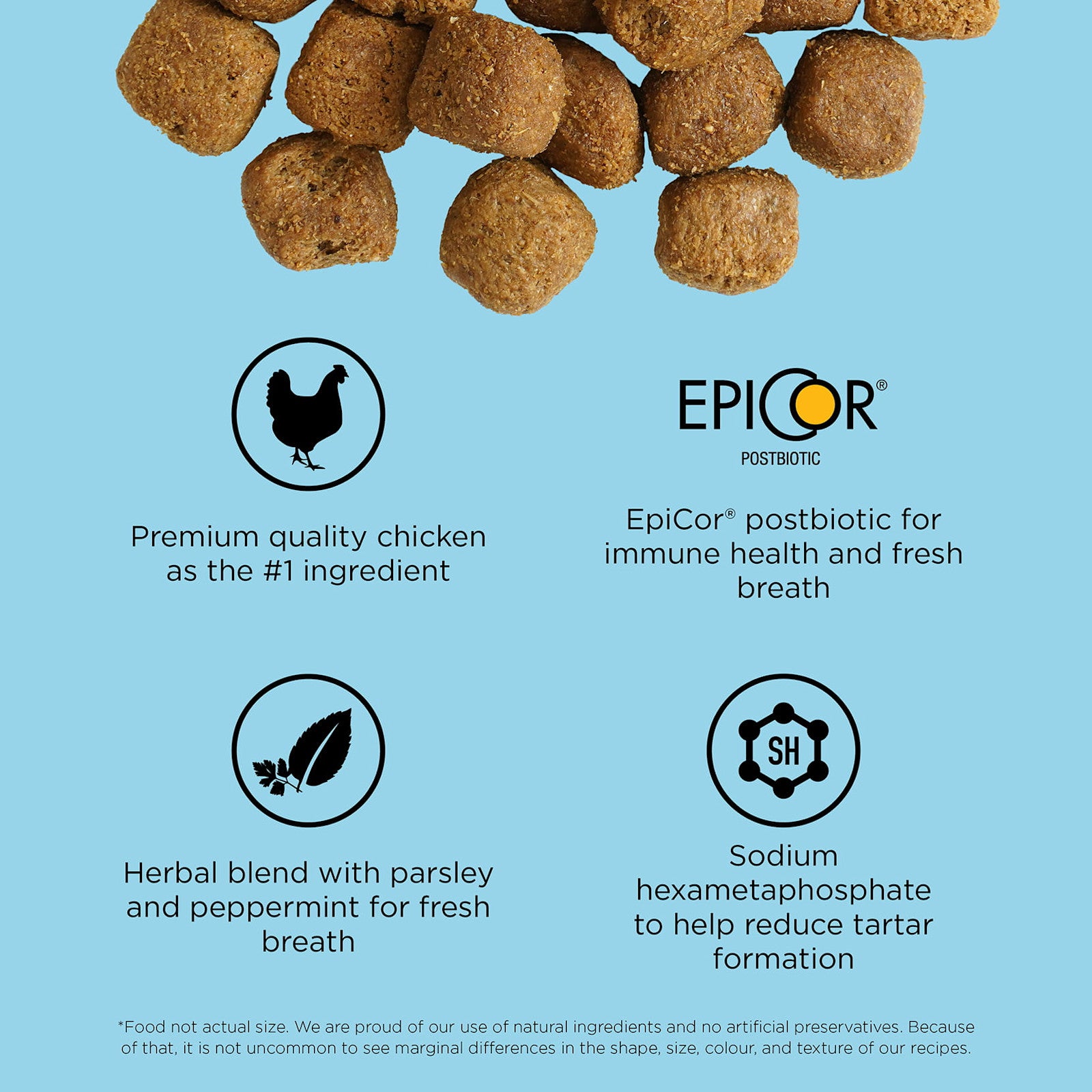 Go! Solution Dental + Immune Health Chicken & Salmon Cat Dry Food