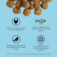 Go! Solution Dental + Immune Health Chicken & Salmon Cat Dry Food