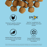 Go! Solution Dental + Immune Health Chicken & Salmon Dog Dry Food