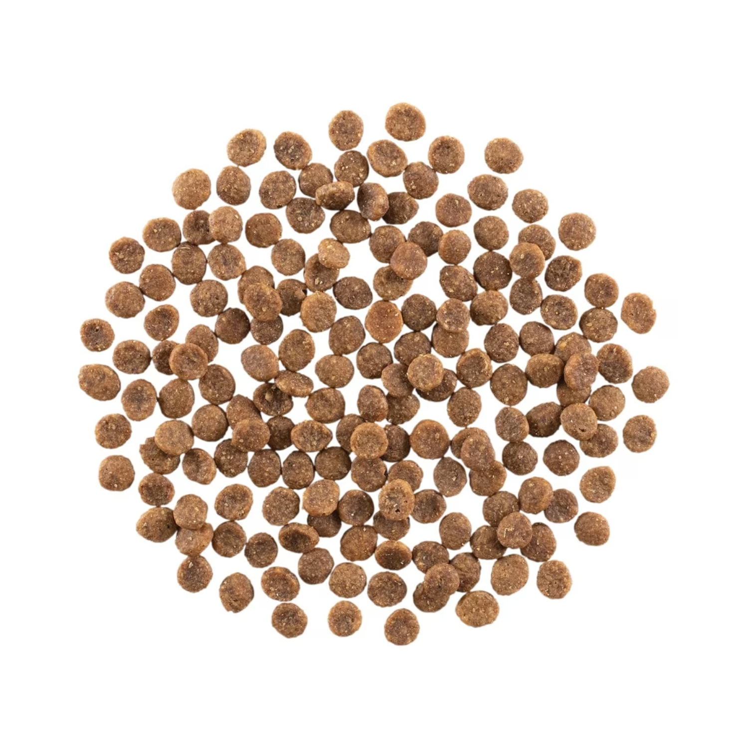 Go! Solution Hairball Control + Urinary Care Chicken with Grain Cat Dry Food