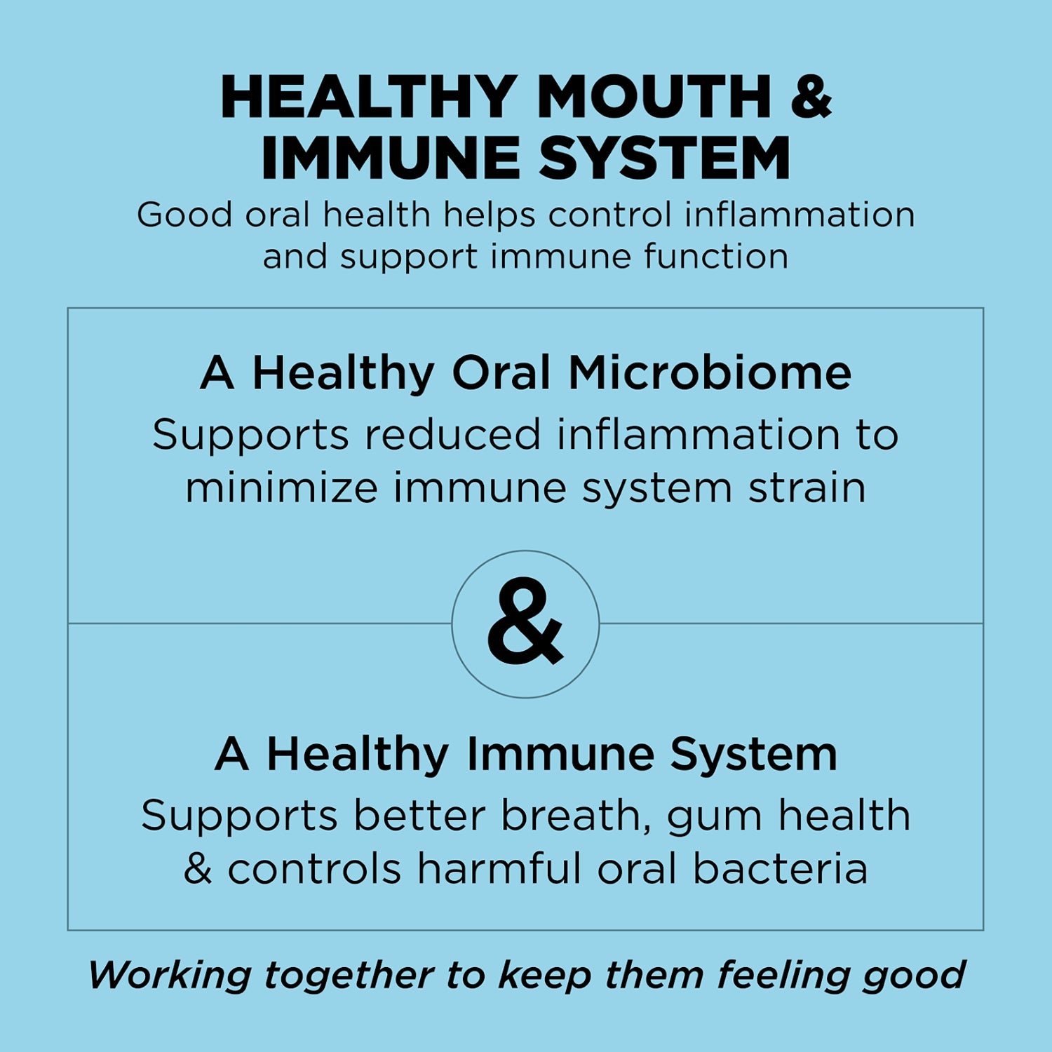 Go! Solution Dental + Immune Health Chicken & Salmon Dog Dry Food