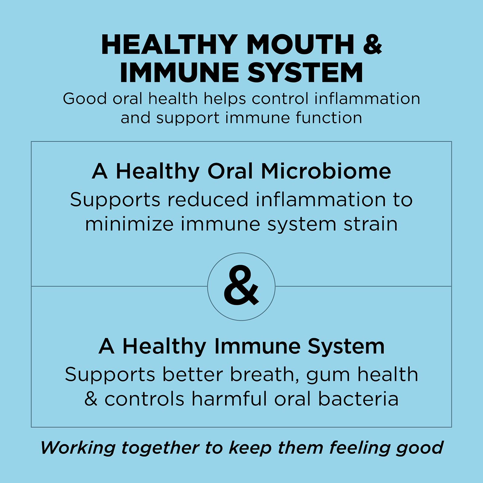 Go! Solution Dental + Immune Health Chicken & Salmon Cat Dry Food