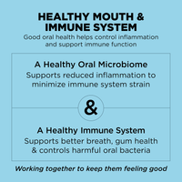 Go! Solution Dental + Immune Health Chicken & Salmon Cat Dry Food