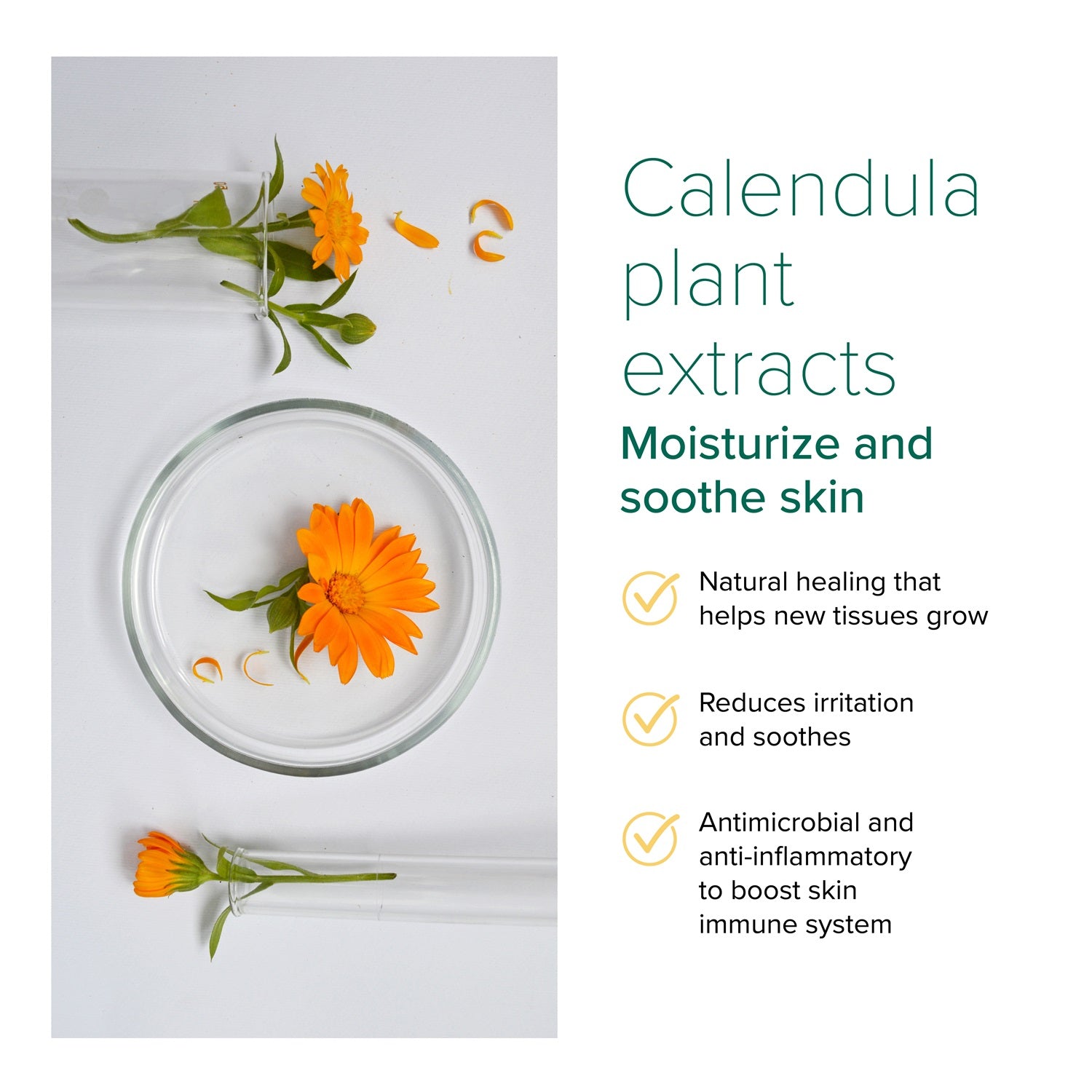 Nurture Pro AG+ Silver Pet Wet Wipes For Cats & Dogs (Lavender)