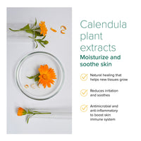 Nurture Pro AG+ Silver Pet Wet Wipes For Cats & Dogs (Lavender)