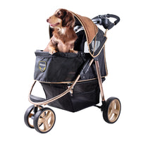 Ibiyaya Monarch Premium Pet Jogger (Gold)