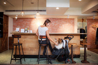 Ibiyaya Turbo Pet Jogger (Pink)