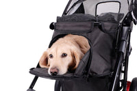 Ibiyaya Turbo Pet Jogger (Pink)