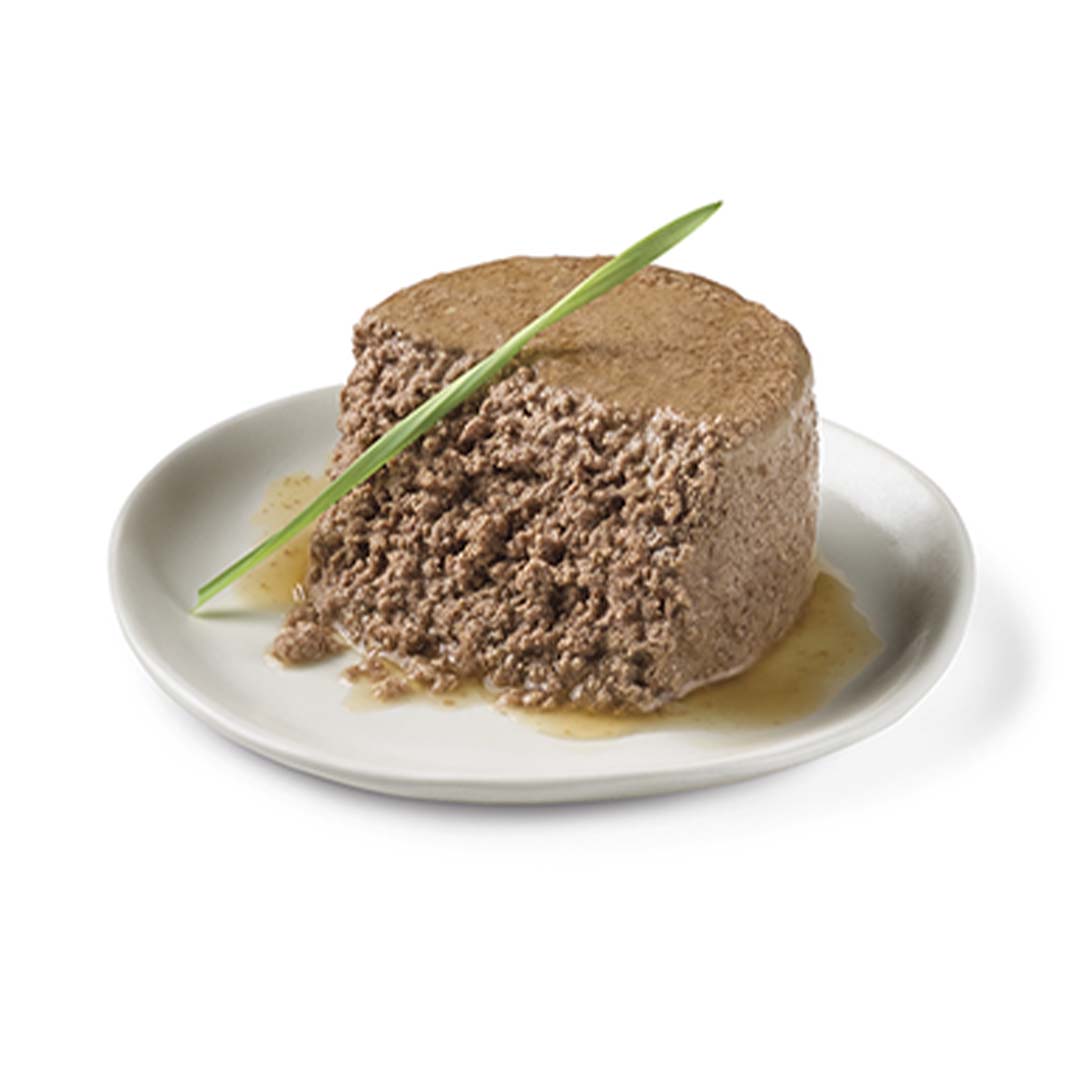 Pate cat sales food