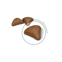 Royal Canin Feline Intense Hairball