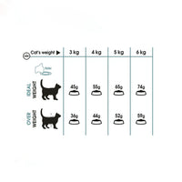 Royal Canin Feline Intense Hairball