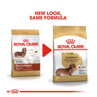 Royal Canin Breed Health Nutrtion Adult Dachshund Dry Dog Food