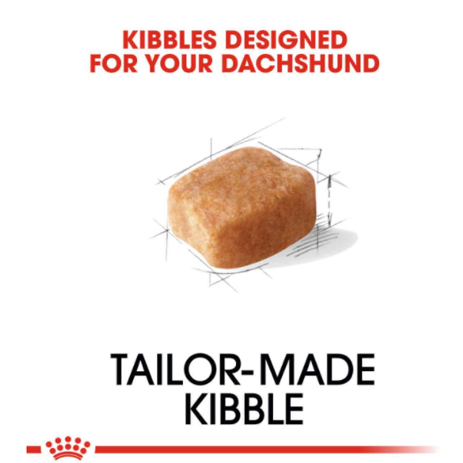 Royal Canin Breed Health Nutrtion Adult Dachshund Dry Dog Food