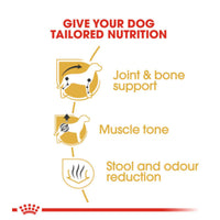 Royal Canin Breed Health Nutrtion Adult Dachshund Dry Dog Food