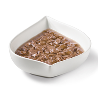 Fancy Feast Gravy Lovers Salmon Feast In Seared Salmon Flavor Gravy Canned Cat Food