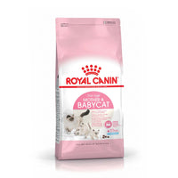Royal Canin Feline Health Nutrition Mother & Babycat Dry Cat Food