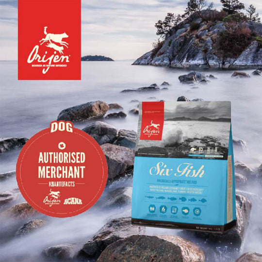Orijen Six Fish Dry Dog Food