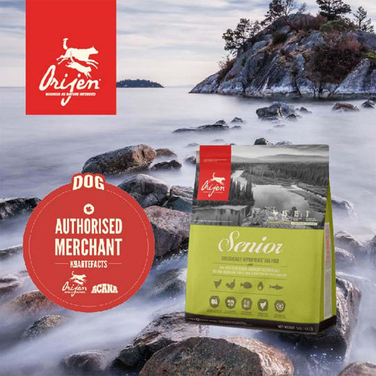 Orijen Senior Dog Dry Food