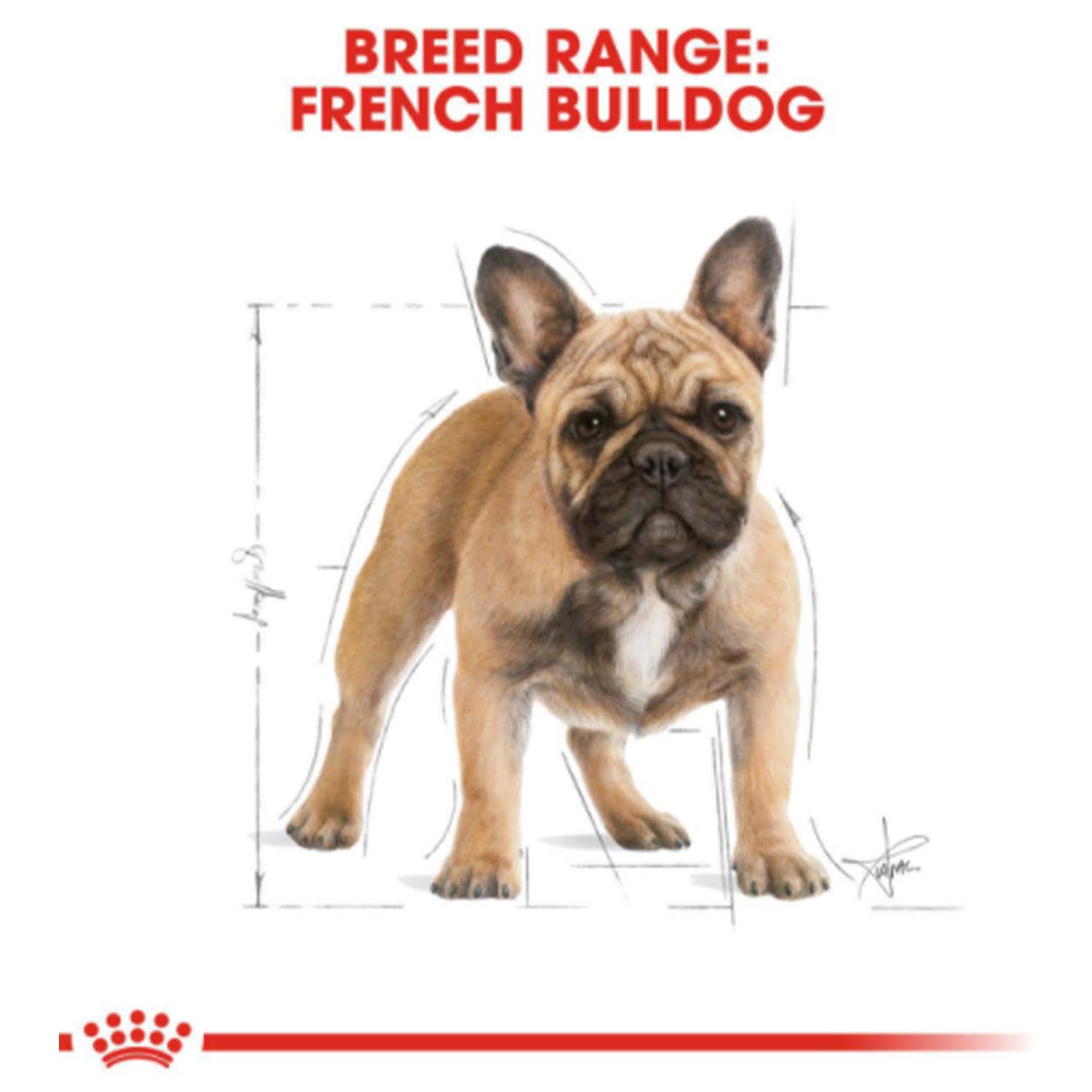 Royal Canin Breed Health Nutrition Adult French Bulldog Dry Dog Food