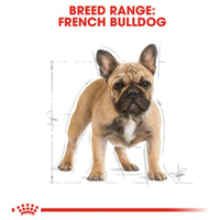 Royal Canin Breed Health Nutrition Adult French Bulldog Dry Dog Food