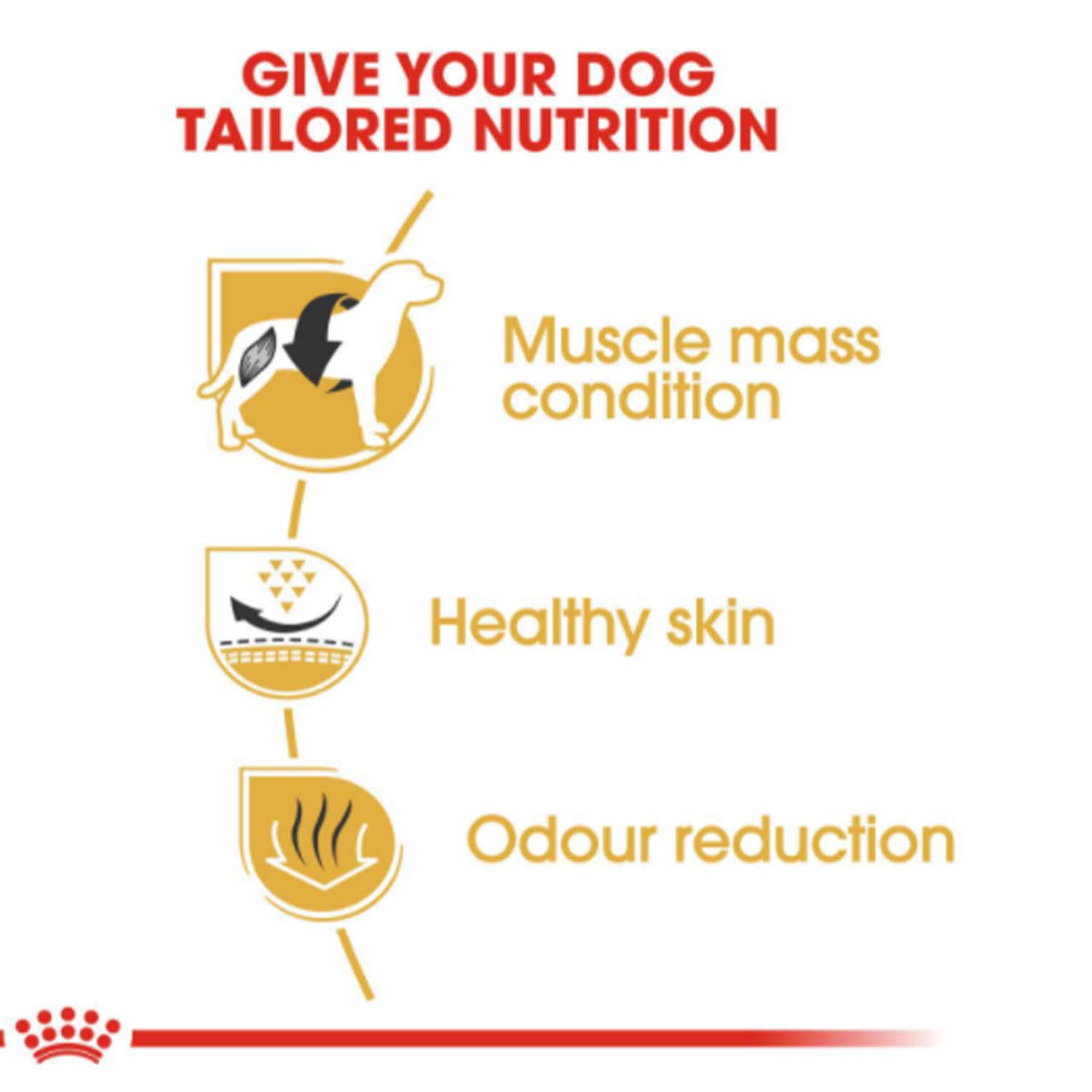 Royal Canin Breed Health Nutrition Adult French Bulldog Dry Dog Food