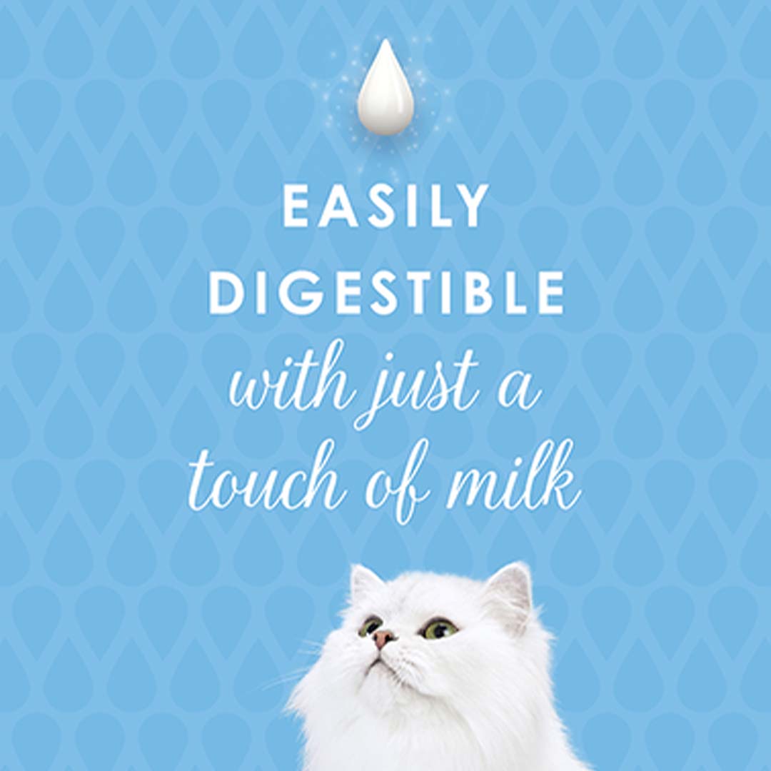 Fancy feast with best sale milk