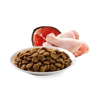 Iams Multi Cat Chicken & Salmon