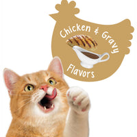 Friskies Party Mix Crunch Gravy-licious Chicken & Gravy Adult Cat Treats