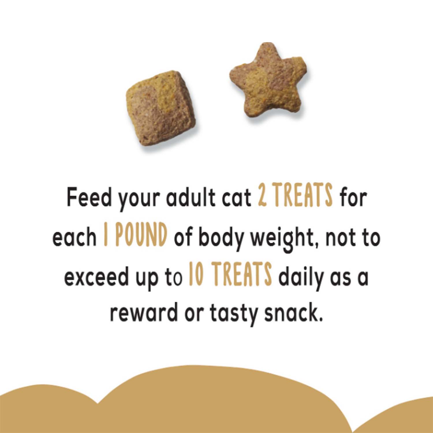 Friskies Party Mix Crunch Gravy-licious Chicken & Gravy Adult Cat Treats