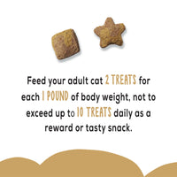 Friskies Party Mix Crunch Gravy-licious Chicken & Gravy Adult Cat Treats