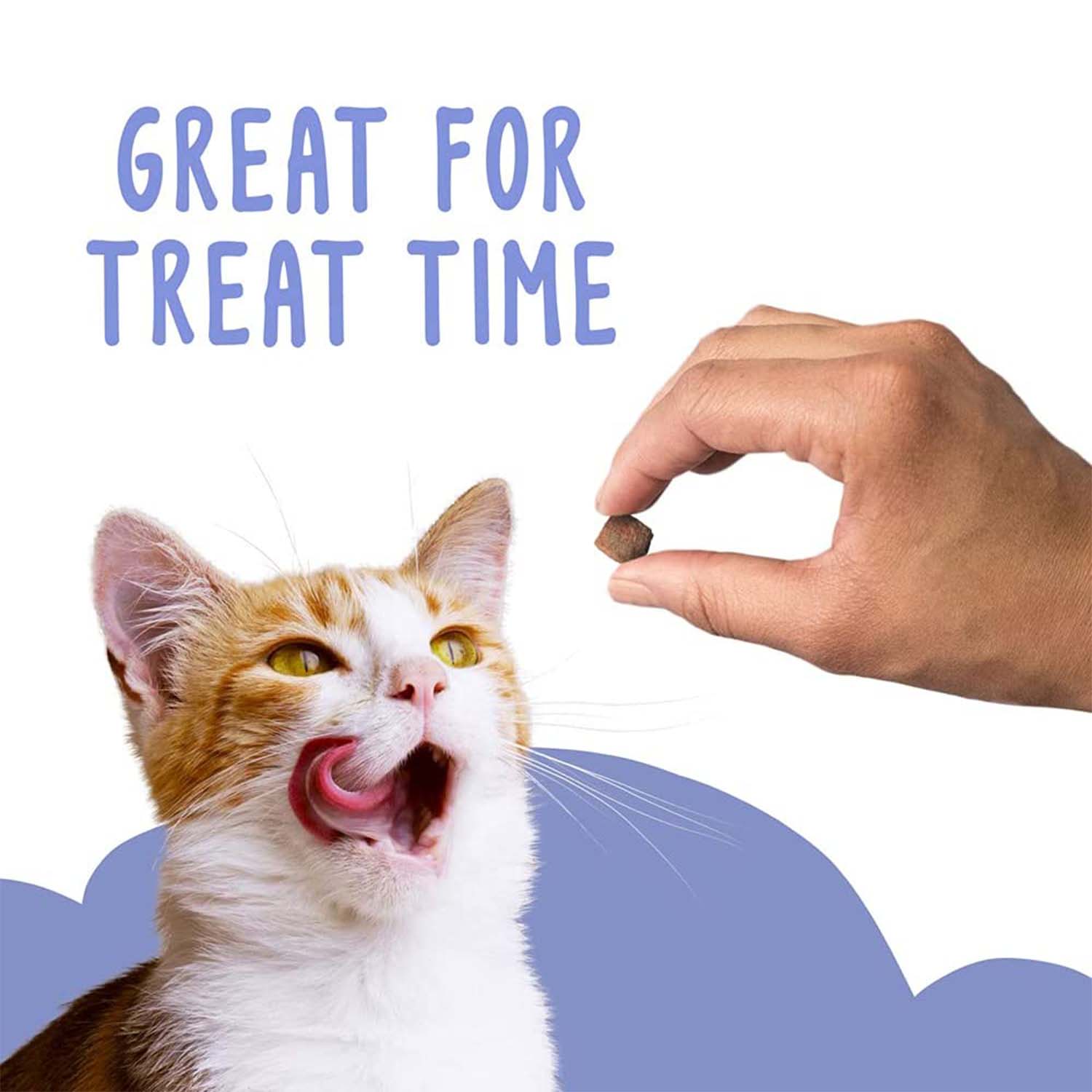 Friskies Party Mix Crunch Gravy-licious Turkey & Gravy Adult Cat Treats