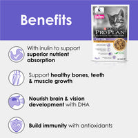 Pro Plan Kitten Tender Pieces With Chicken In Jelly Pouch Cat Food