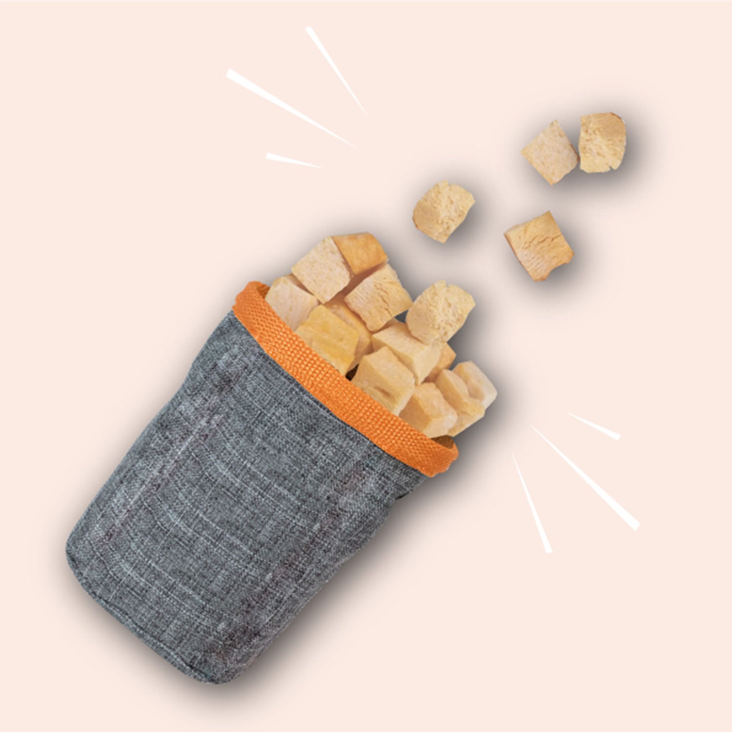 Naturawr Pumpkin Patch Freeze Dried Dog Treat