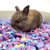 Chipsi Carefresh Bedding Confetti