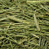 Brown's Tropical Carnival Natural Timothy Hay