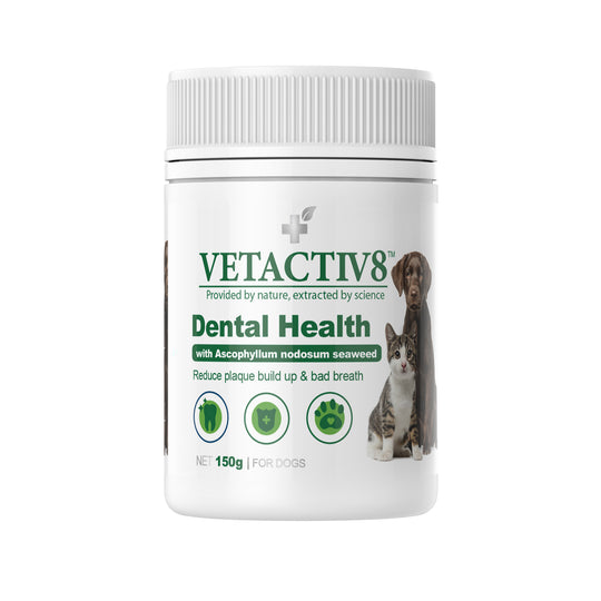 Vetactiv8 Dental Health Dog Supplement